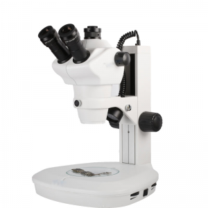 L45-B microscope